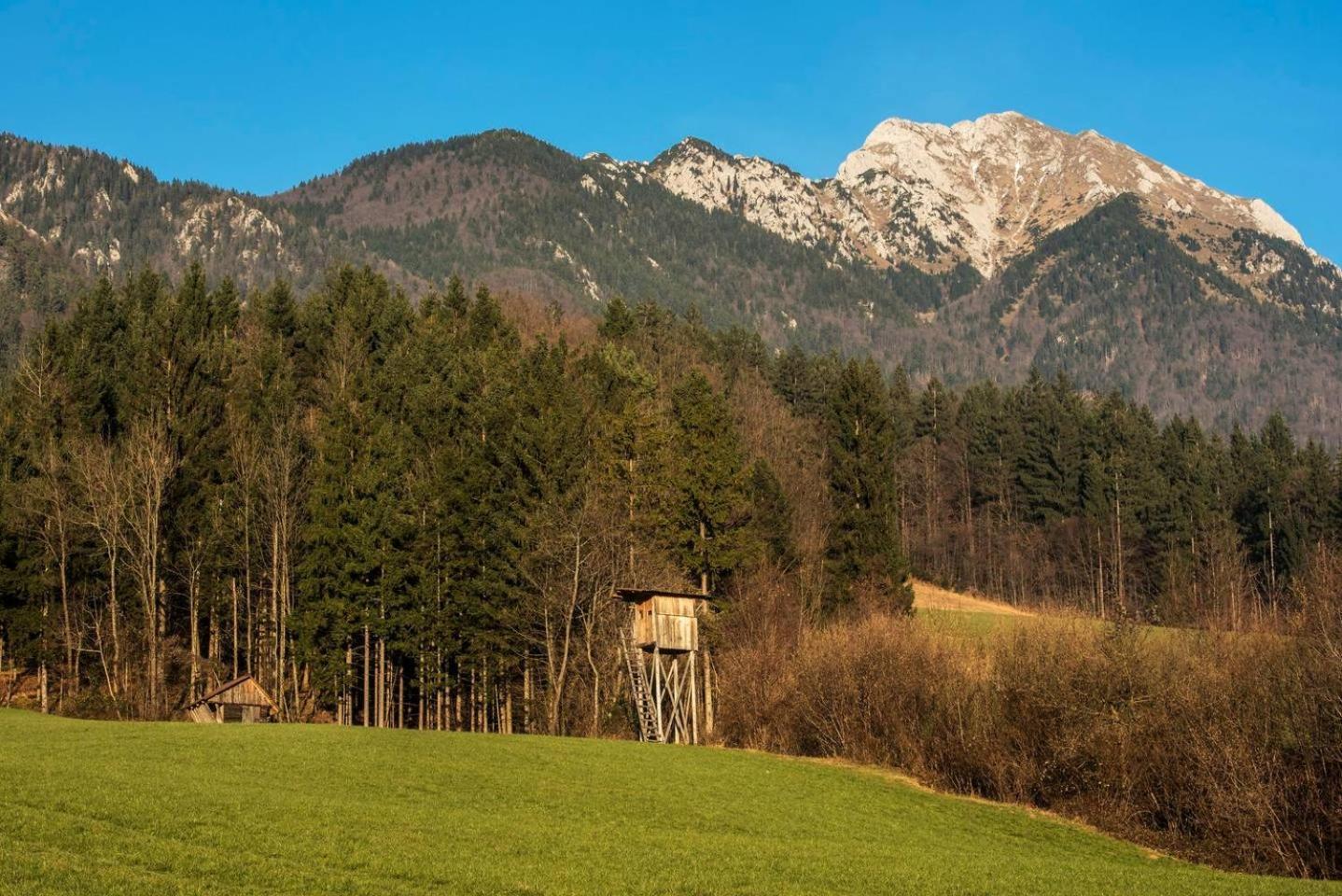 Вилла Little Dream House In A Perfect Spot Zalog Экстерьер фото